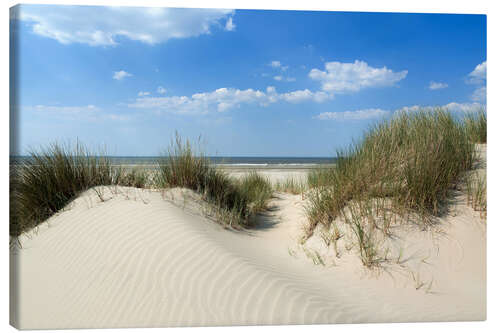 Obraz na płótnie Dune landscape by the sea