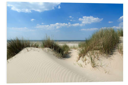 Tableau en PVC Dune landscape by the sea