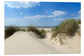 Foam board print Dune landscape by the sea