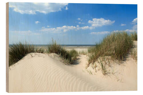 Quadro de madeira Dune landscape by the sea