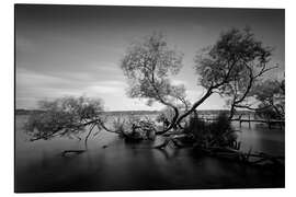 Aluminium print Berlin Wannsee II