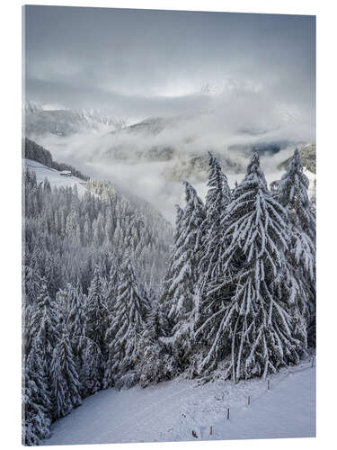 Acrylic print Winter in Valle Aurina (South Tyrol, Italy)