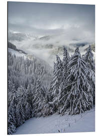 Aluminium print Winter in Valle Aurina (South Tyrol, Italy)