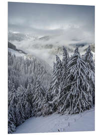 Foam board print Winter in Valle Aurina (South Tyrol, Italy)