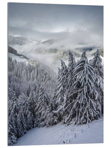 Cuadro de plexi-alu Winter in Valle Aurina (South Tyrol, Italy)