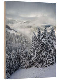 Hout print Winter in Valle Aurina (South Tyrol, Italy)