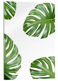 Gallery print Attack of the Monstera