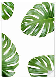 Naklejka na ścianę Attack of the Monstera