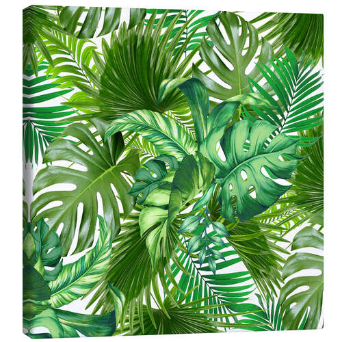 Canvas print new tropic life