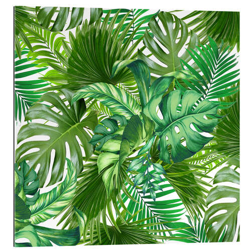 Gallery Print new tropic life