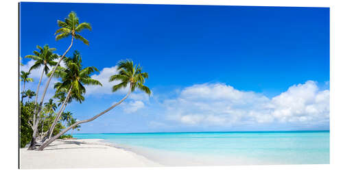 Gallery Print Strand Panorama mit türkisblauem Meer, Fidschi Inseln