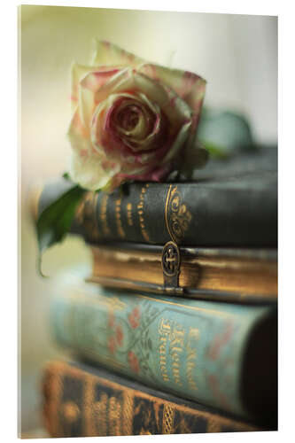 Akryylilasitaulu Old books