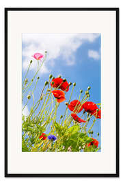Gerahmter Kunstdruck Mohnblumen ragen in den Himmel