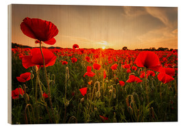 Tableau en bois  Champ de coquelicots au coucher du soleil - Oliver Henze