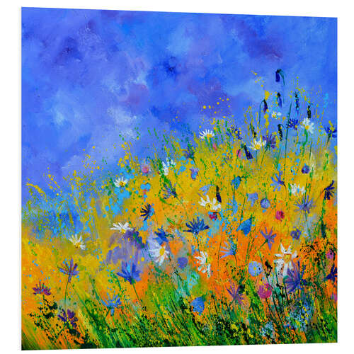 Foam board print Meadow with flowers