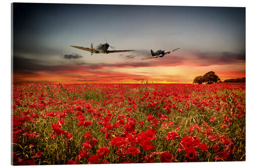 Acrylglasbild Britische Flugzeuge fliegen über den Mohn