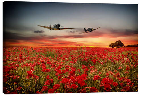 Canvas print Battle of Britain warriors