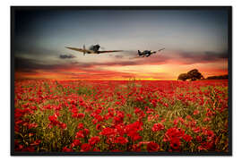 Gerahmter Kunstdruck Britische Flugzeuge fliegen über den Mohn