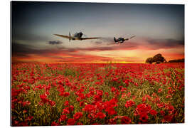 Gallery print Battle of Britain warriors