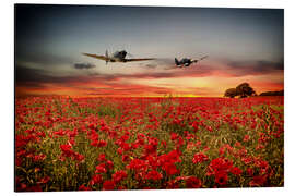 Magnettafel Britische Flugzeuge fliegen über den Mohn