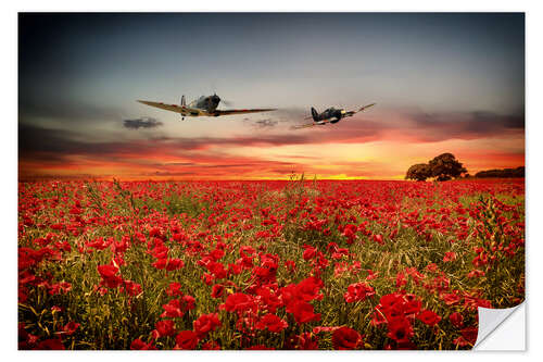 Sisustustarra Battle of Britain warriors
