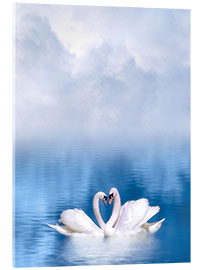 Acrylglas print loving swans