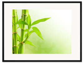 Gerahmter Kunstdruck grüner Bambus