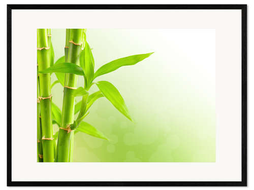 Kehystetty taidepainatus green bamboo