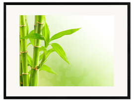 Kehystetty taidepainatus green bamboo