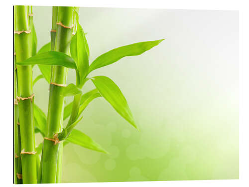 Gallery print green bamboo