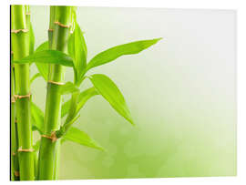 Magnettafel grüner Bambus