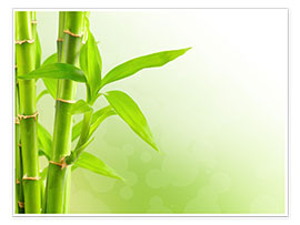Veggbilde green bamboo