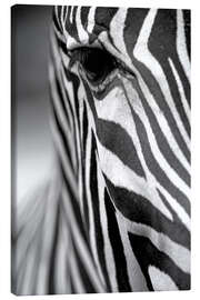 Lærredsbillede  Ansigtet af en Grevy zebra
