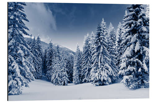 Alubild Winterlandschaft mit schneebedeckten Bäumen