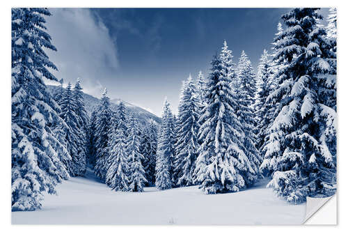 Wall sticker Winter landscape with snow covered trees