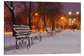 Aluminium print Park bench on a winter morning