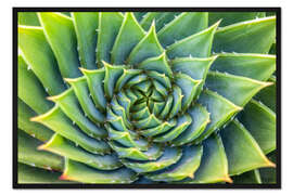 Gerahmter Kunstdruck Grüne Spirale