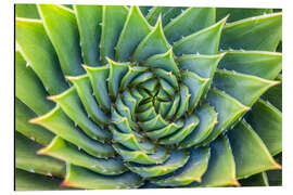 Magnettafel Grüne Spirale