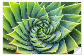 Sisustustarra Green spiral