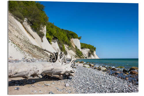 Tableau en plexi-alu Falaises de craie sur l'île de Rügen en Allemagne