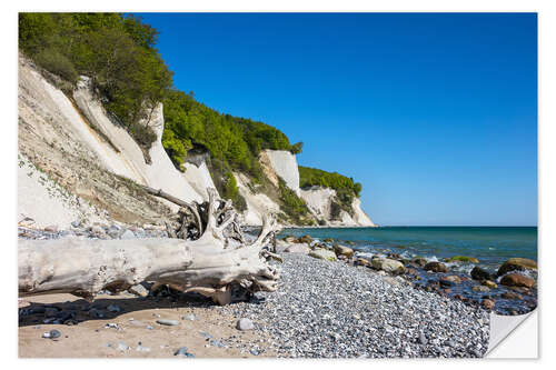 Selvklebende plakat Chalk Cliffs on the Island Ruegen (Germany) IV