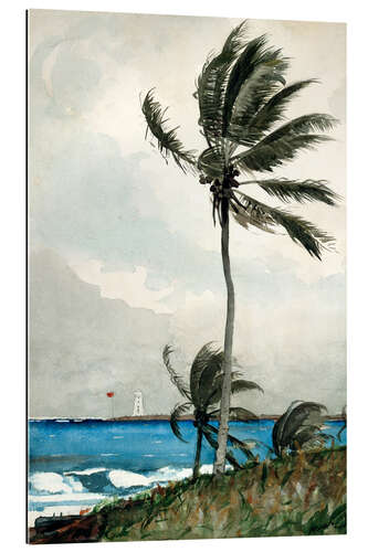 Galleriataulu Palm Tree, Nassau