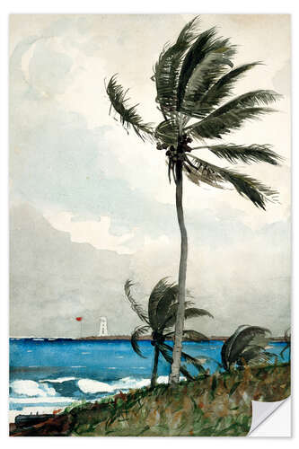 Adesivo murale Palma, Nassau