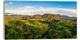 Hout print Vinales Valley