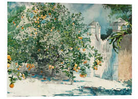 Foam board print Orange Trees and Gate