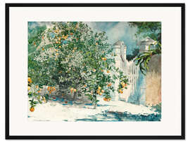 Gerahmter Kunstdruck Orangenbäume und Tor