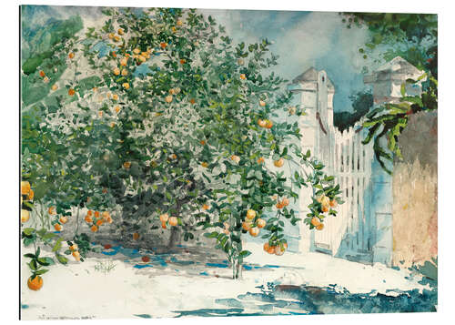 Galleriprint Orange Trees and Gate