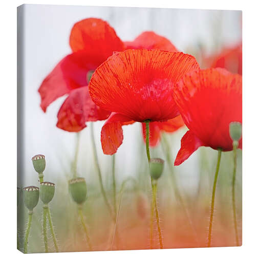 Canvas print Everything (square)