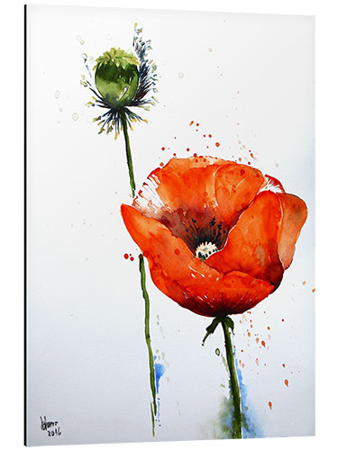 Aluminium print Poppy II