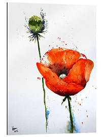 Gallery print Poppy II